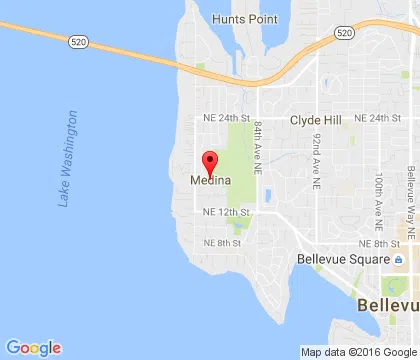 logo-image - Medina-WA